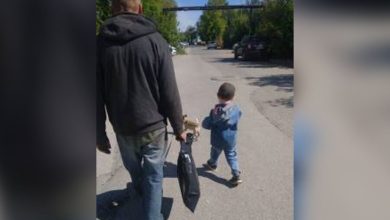 Фото - В Перми мужчина увел с детской площадки ребенка с собакой, пообещав ему сладости