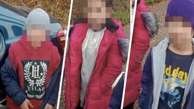 Фото - В Казахстане трое детей ушли гулять и заблудились в горах