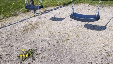 Фото - В Оренбургской области на ребенка упали самодельные качели
