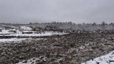 Фото - Тело новорожденной девочки нашли на мусорном полигоне в Ленобласти